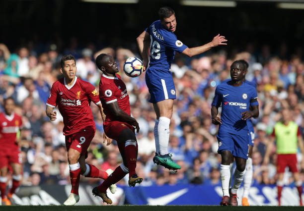 动物或自然 动物或自然