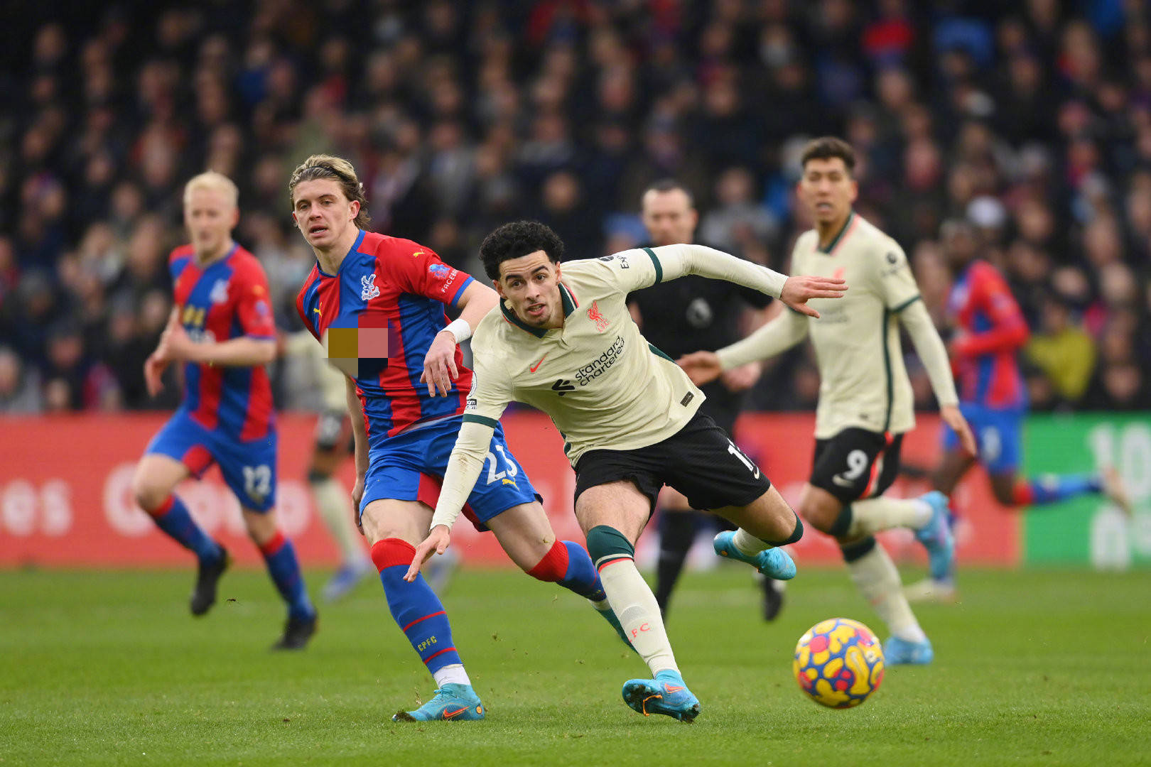 明了自己的 明了自己的